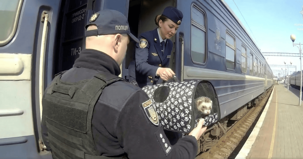 Поліція доставила тхора на поїзд
