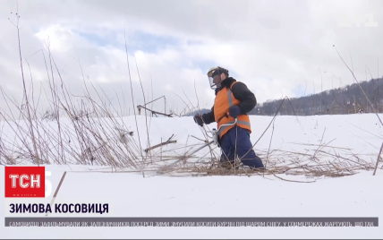 Бережуть мишей від стресу: у "Львівській залізниці" прокоментували, навіщо їхні працівники в снігу косили траву
