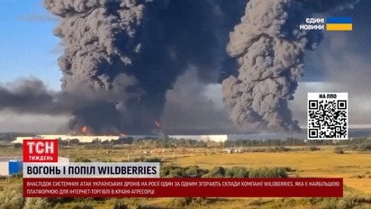 "Чорний лебідь" для Путіна: як несподівані удари по Wildberries обвалять економіку Росії