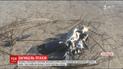 На Херсонщине зафиксировали массовый мор диких птиц Черного моря