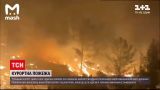 Новости мира: в Турции снова горят леса