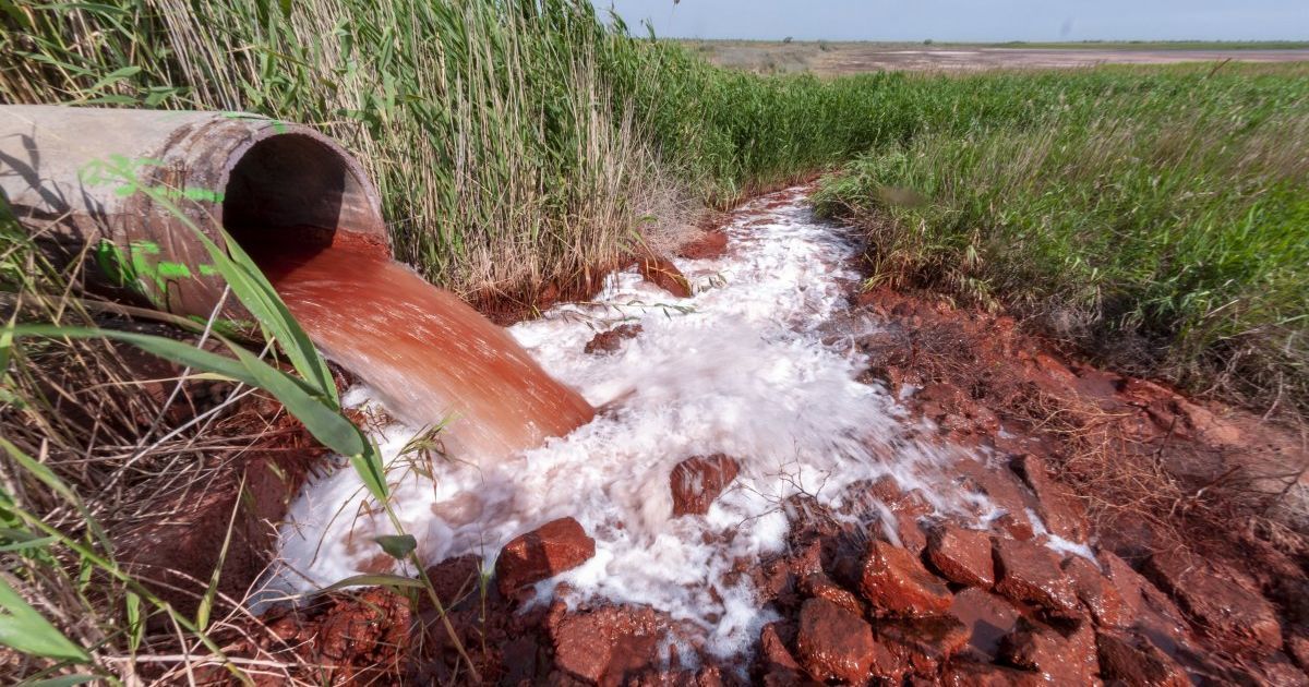 Біля Дніпра жителі збунтувалися проти токсичного виробництва електрики з курячого посліду