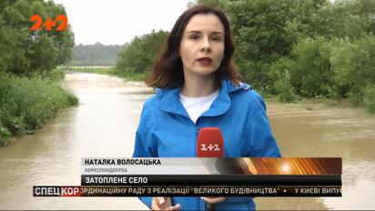 На Львівщині річка, що вийшла з берегів, затопила пів села