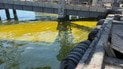 У Чорне море вилилися тисячі тонн олії