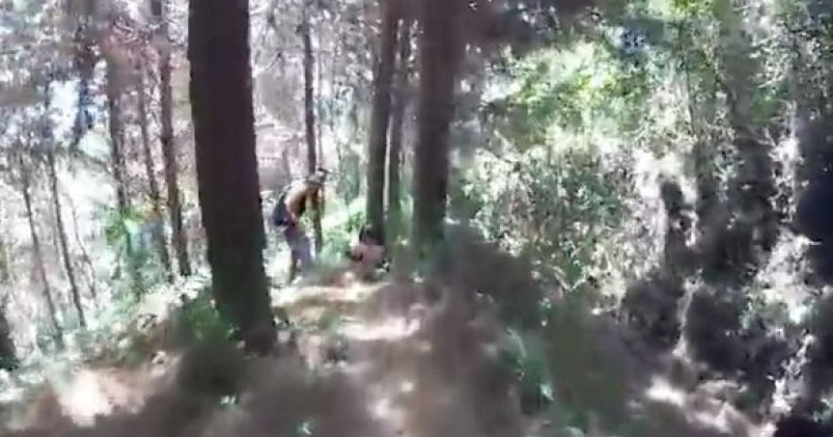 Парочка трахается в лесу на глазах молодёжи. Real video