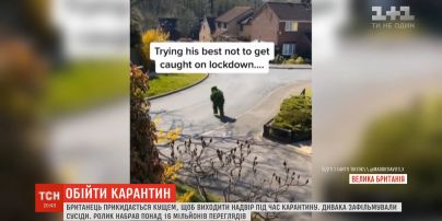 Британец в костюме куста смешно "прячется" от копов на карантине