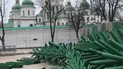 На Софийской площади в Киеве начали устанавливать новогоднюю елку