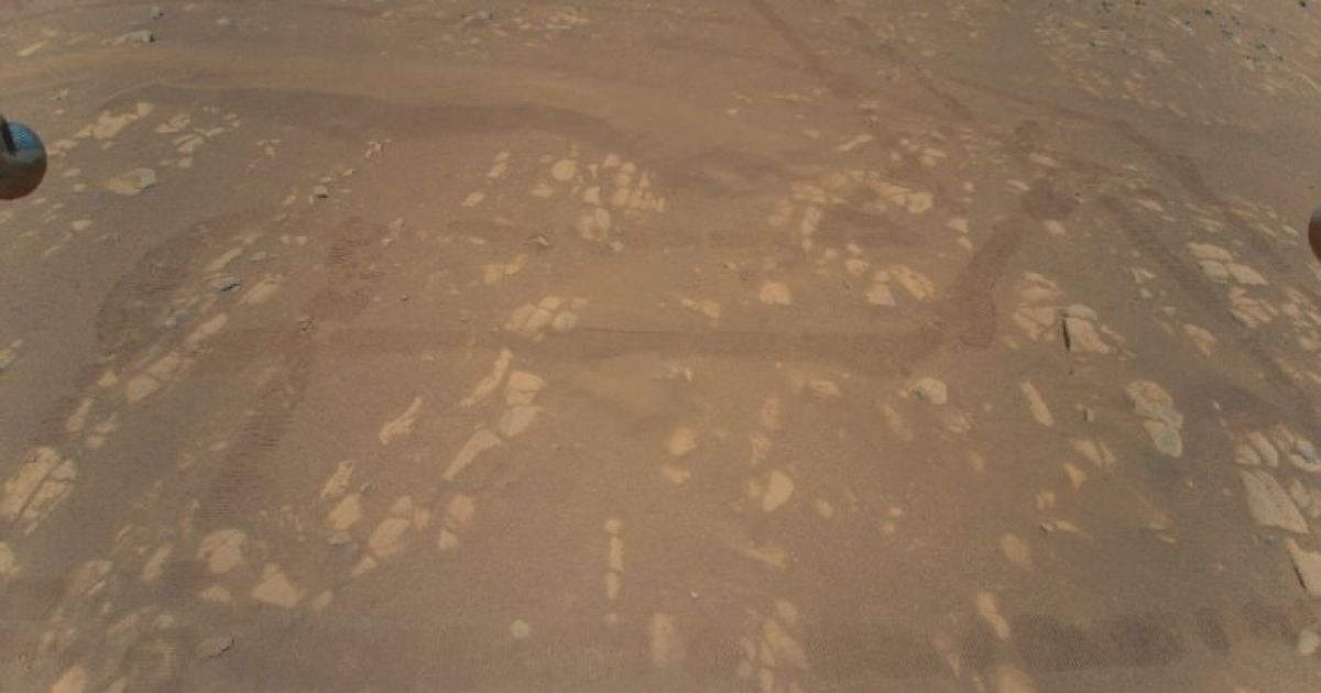 Коптер Ingenuity надіслав перше кольорове фото свого польоту на Марсі