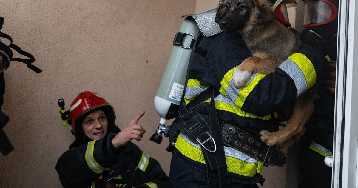 Пожежа у квартирі на Кудрявському узвозі