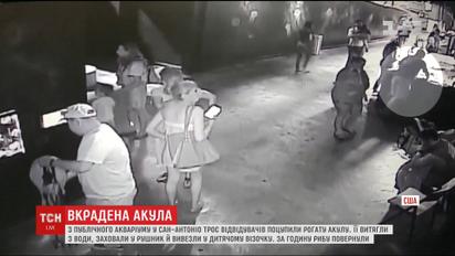 В США с выставки посетители украли рогатую акулу