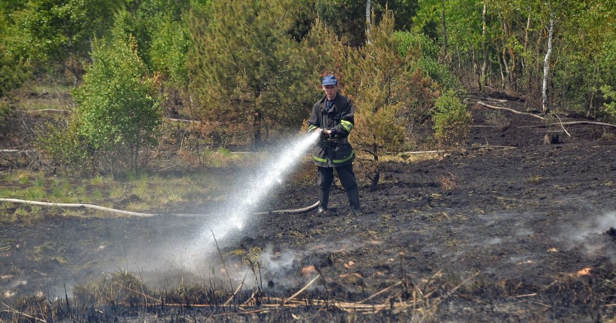 Під Києвом горять торфовища - в одному з районів столиці погіршився стан повітря