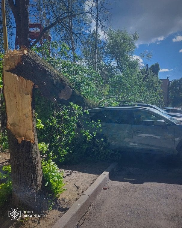 Смертельное ненастье в Украине / © ГСЧС Украины