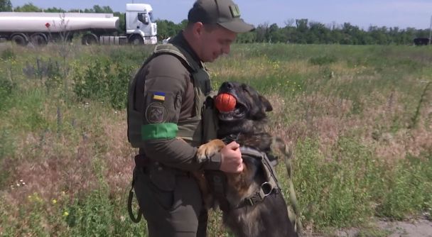 Роман і Джукі ніяк не могли порозумітись