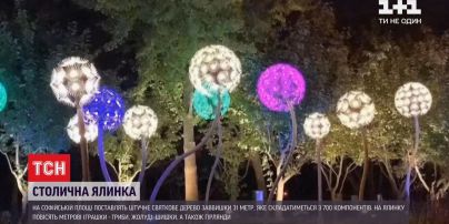Підготовка до свята: якою буде новорічна ялинка і розваги у центрі столиці