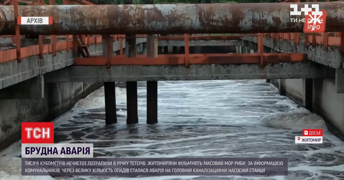 У Житомирі нечистоти потрапили до річки Тетерів: масово гине риба