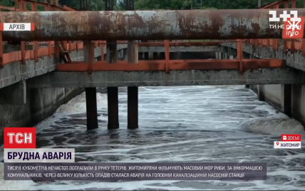 В Житомире нечистоты попали в реку Тетерев: массово гибнет рыба