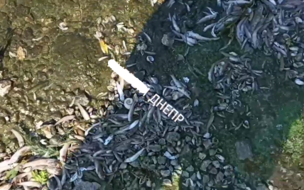 Экологическая катастрофа: в Днепре произошел массовый мор рыбы (видео)