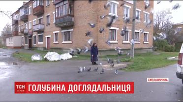Бабуся на Хмельниччині піклується про всіх міських голубів