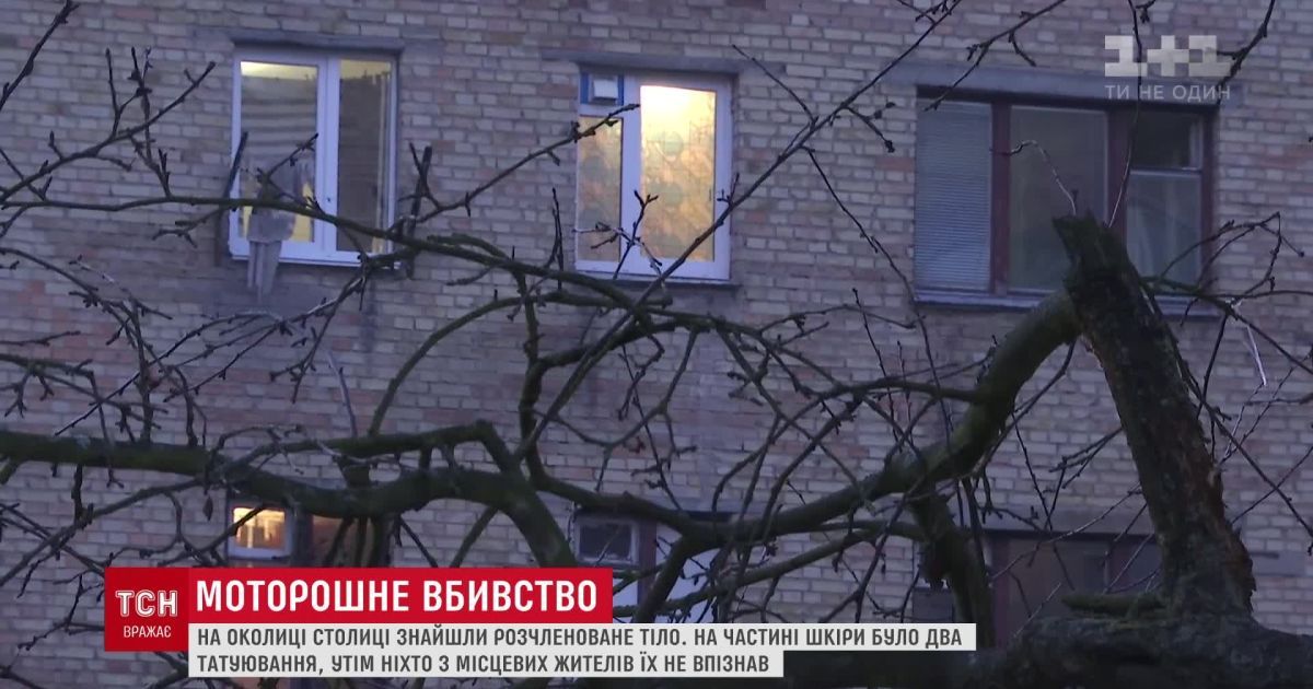 Жуткое убийство в Киеве: в лесу обнаружили разбросанные на большом расстоянии расчлененные человеческие останки