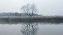 Небольшие морозы, но без осадков: прогноз погоды на 6 января