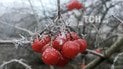 Погода на День святого Валентина: в Україні невеликий мороз, місцями опади