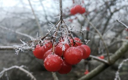 В Україні вже цього тижня тріщатимуть нічні морози, місцями пройде мокрий сніг