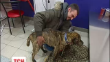 Самая популярная собака Украина пошла на поправку
