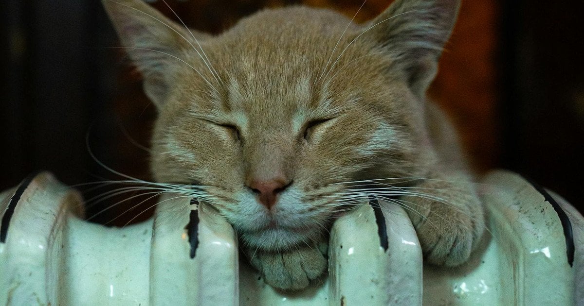 Як збільшити ефективність опалення взимку