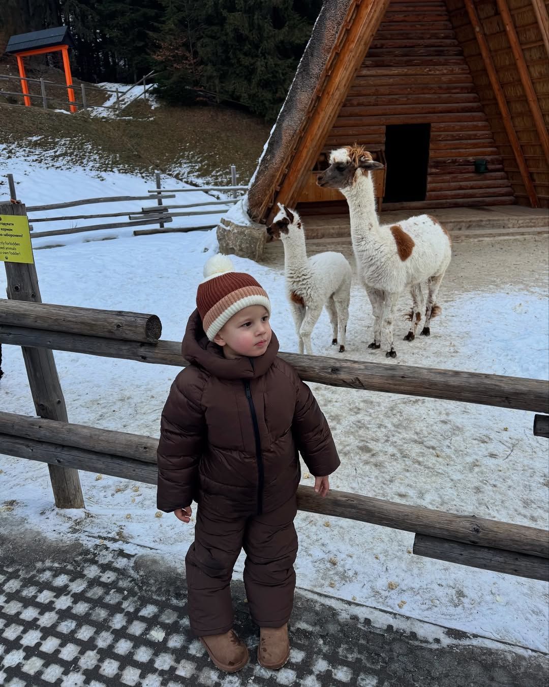 Сын Виктора Павлика в Буковеле / © instagram.com/repyahovakate