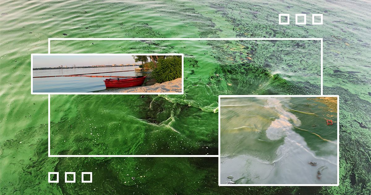 Екологічна катастрофа в Дніпрі: що відбувається з головною водною артерією міста (відео)