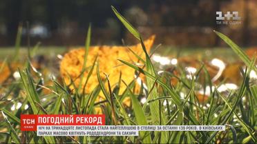 В Киеве ночь на 13 ноября была самой теплой за последние 139 лет