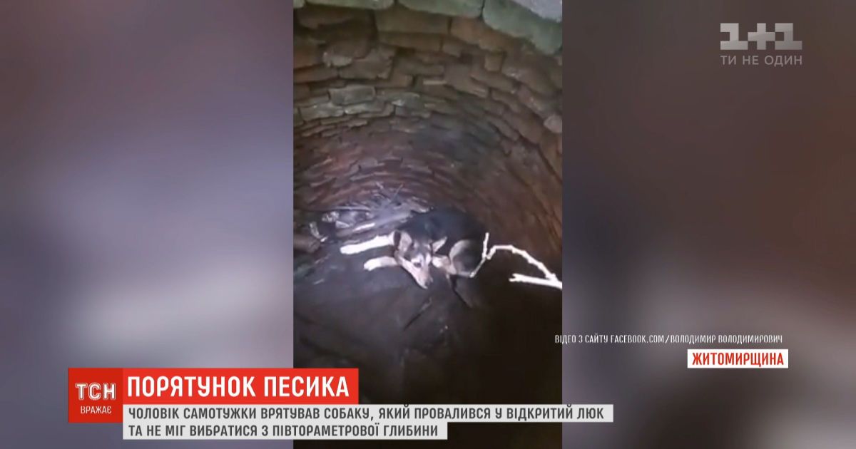 Спасение четвероногого: мужчина достал щенка из открытого люка
