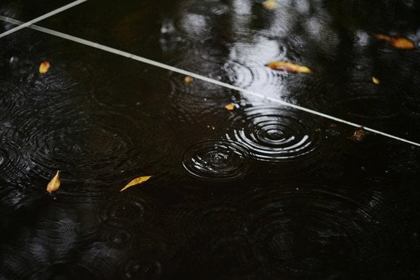Дощить 6 листопада — чекайте на тривалу відлигу взимку / © unsplash.com