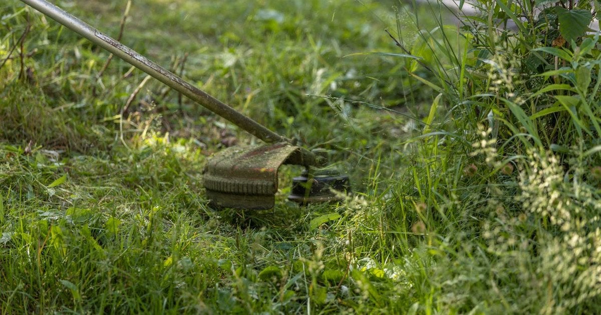 Як розвести бензин до мотокоси