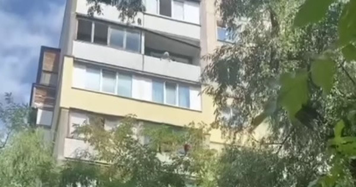 Фото: скриншот с видео
