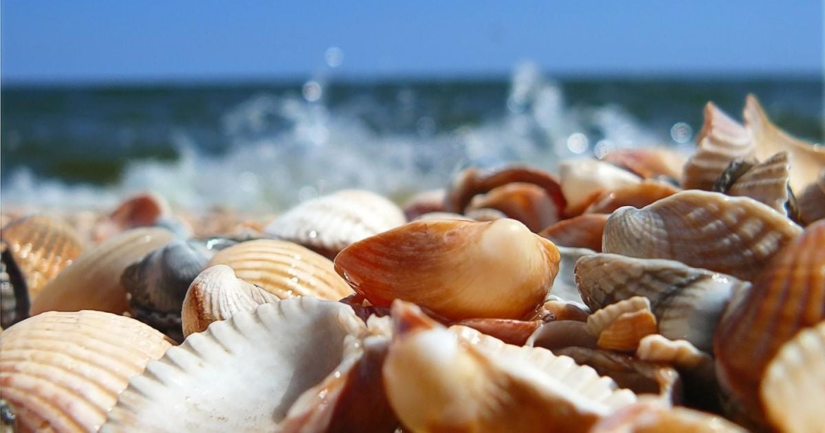 На відомому одеському курорті Лебедівка заборонили купатися: що сталося