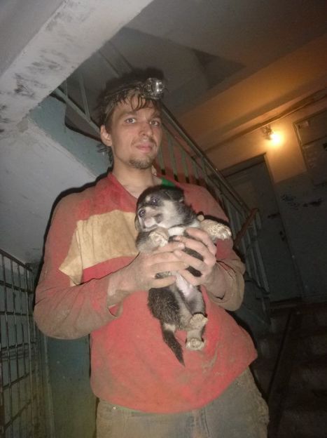 Михаил - спасатель "Команды" и спасенный щенок / © Kyiv Animal Rescue Group/Facebook