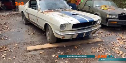 Знахідка на мільйон: у США два автофанати знайшли три закинуті ексклюзивні машини