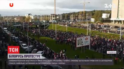 В Беларуси задержали 230 протестующих во время протестов против Александра Лукашенко