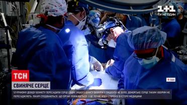 У США смертельно хворому чоловікові пересадили серце свині