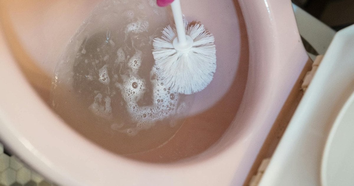 Як правильно чистити туалетний йоржик