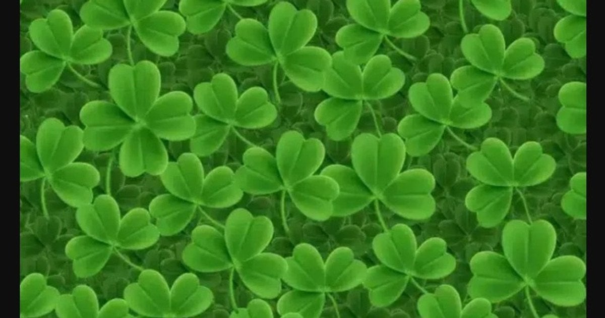 Візуальна головоломка