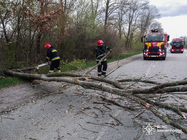 Смертельное ненастье в Украине / © ГСЧС Украины