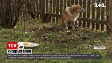 У Херсонській області чоловік розстріляв собак сусідки на її ж подвір`ї