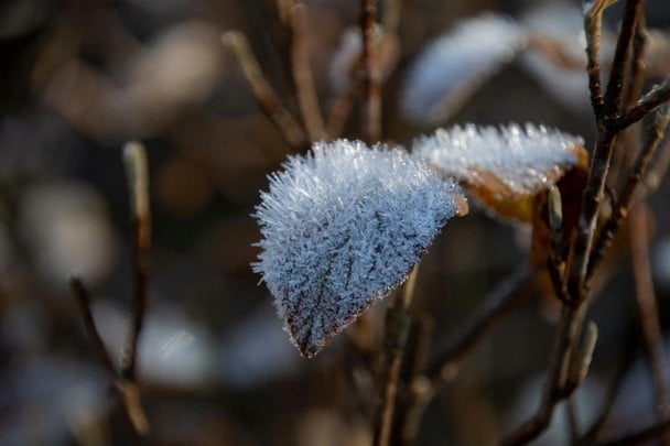 Народні прикмети 12 листопада / © unsplash.com