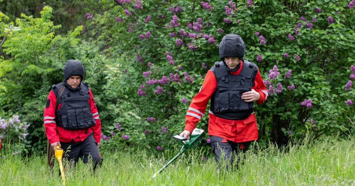 У Києві ботанічний сад імені Гришка закрили для відвідувачів у зв’язку з обстеженням на наявність вибухівки / © КГГА