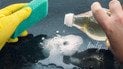 Уксус в уборке: естественный супергерой для чистоты вашего дома