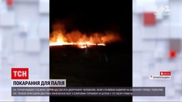 Новости Украины: в Тернопольской области поджигатель ботвы должен уплатить 175 тысяч гривен государству