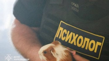 РФ вдарила безпілотником по зоопарку у Харкові_8 / © ДСНС