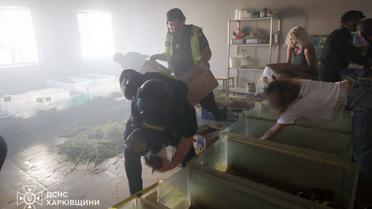 РФ вдарила безпілотником по зоопарку у Харкові_7 / © ДСНС